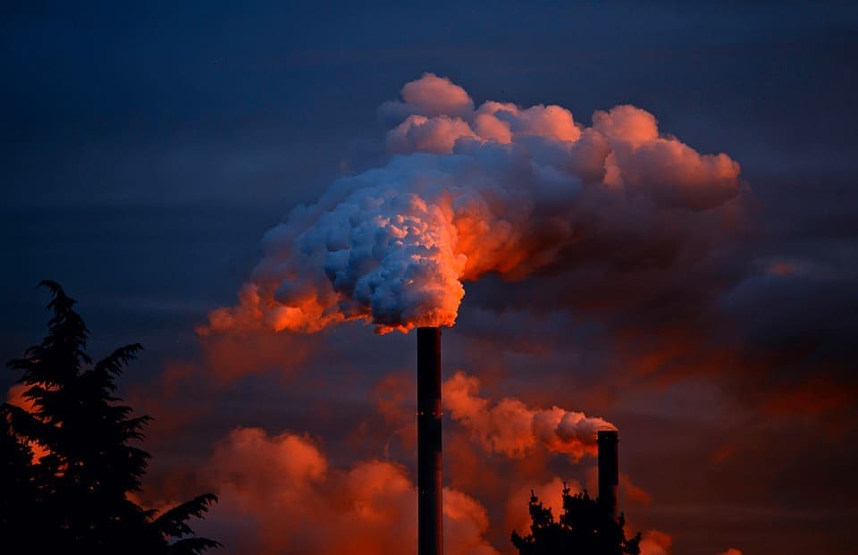 Blindagem jurídica ambiental: a melhor estratégia contra as multas