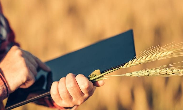 Direito Agrário Artigo 'Direito Agrário'