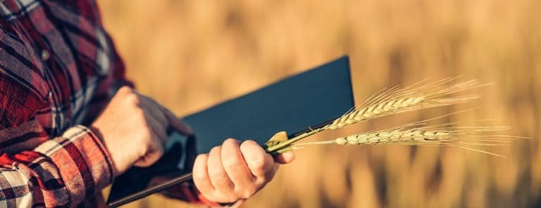 Direito agrário: segurança jurídica no campo