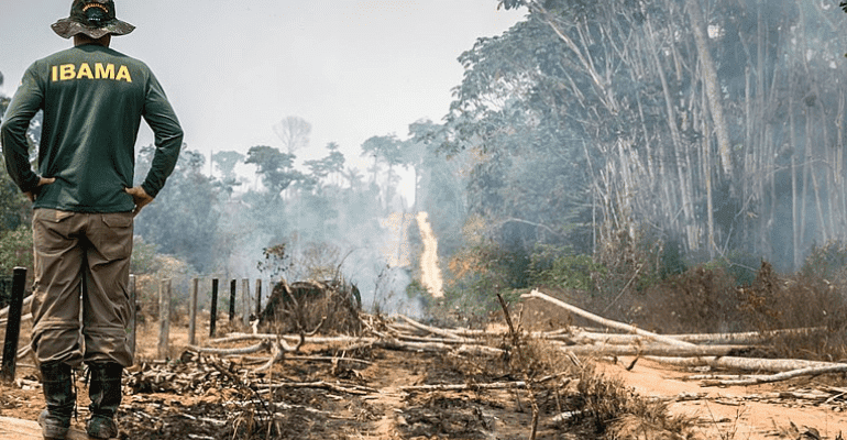 Advogado especialista em multa ambiental Artigo 'Advogado especialista em multa ambiental'