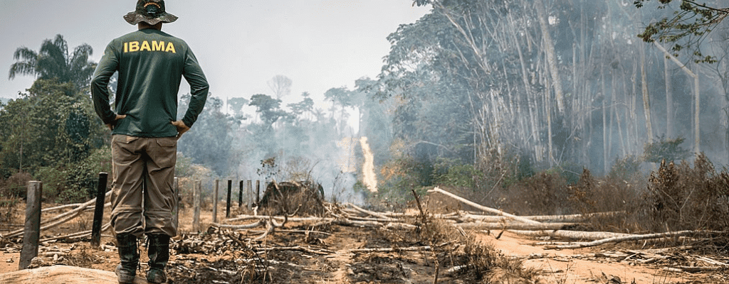 Advogado especialista em multa ambiental