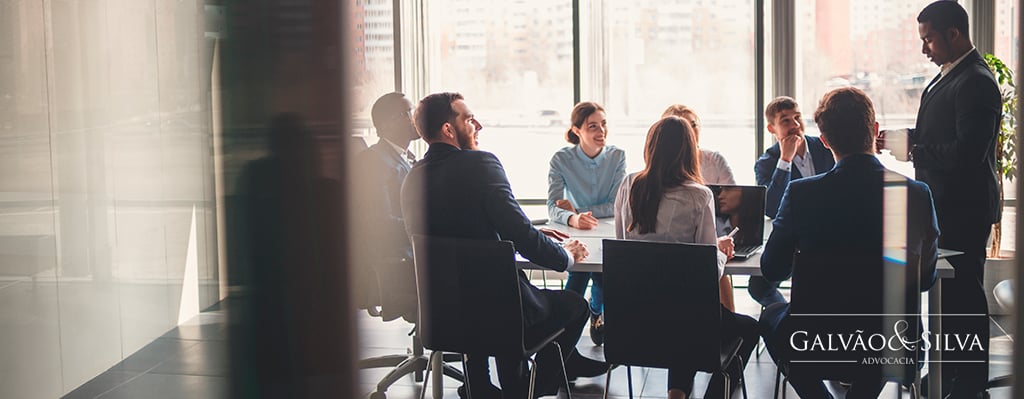 Responsabilidade Empresarial Limitada
