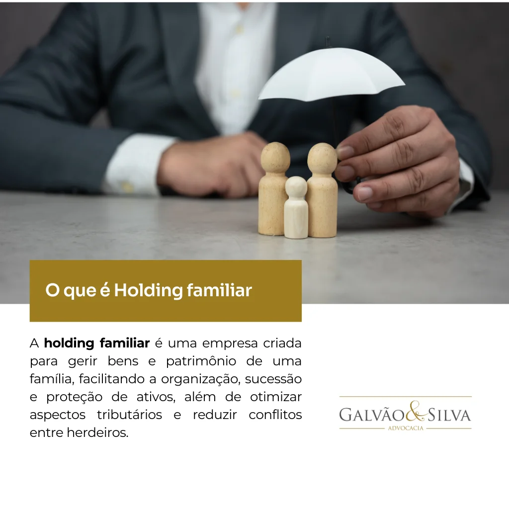 O que é Holding familiar