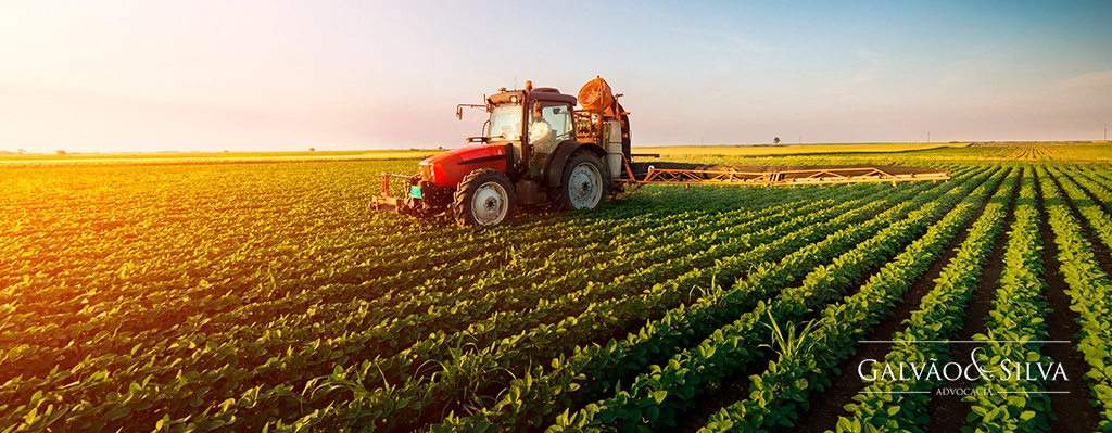 Contrato De Arrendamento Agricola