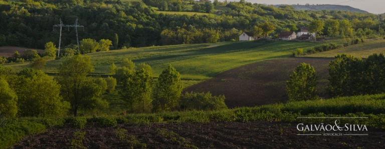 TAC Rural: Como um Advogado Especialista Pode te Ajudar!