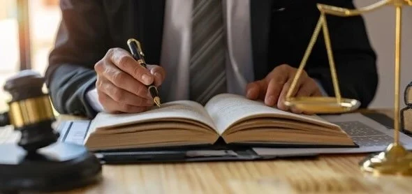 Advogado Constitucional