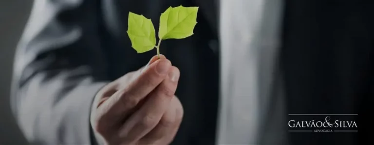 O papel do advogado fundiário na resolução de conflitos agrários