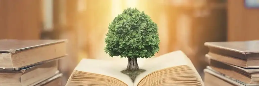 Advogado Ambiental
