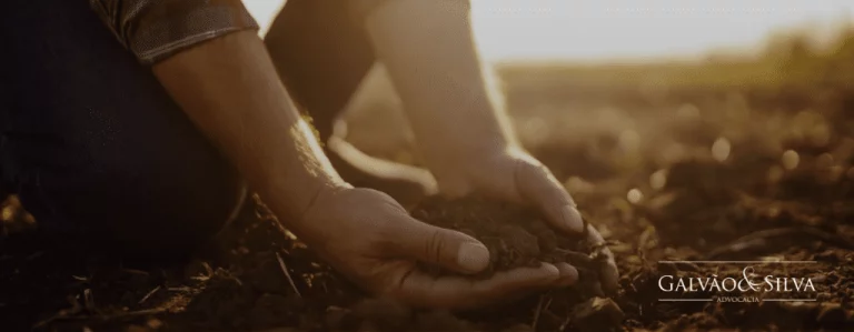 Reforma Agrária: Entenda Tudo Sobre o Assunto em 2024