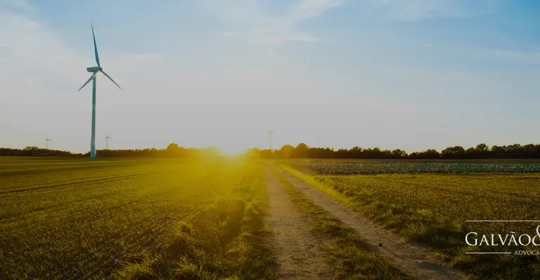 Advogado Especialista em Propriedade Rural: Como Garantir Segurança Jurídica no Campo