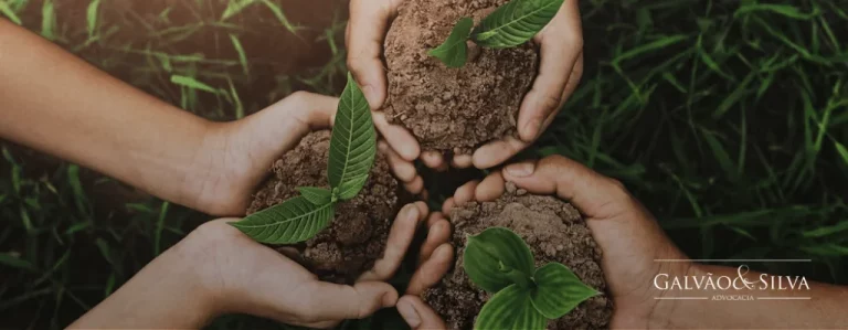 Advogado Especialista no Ministério do Meio Ambiente e Mudança do Clima – MMA