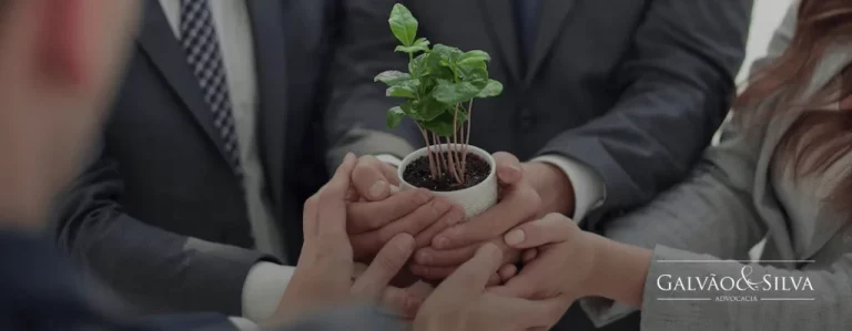 O Melhor Escritório de Advocacia do Brasil em Direito Ambiental