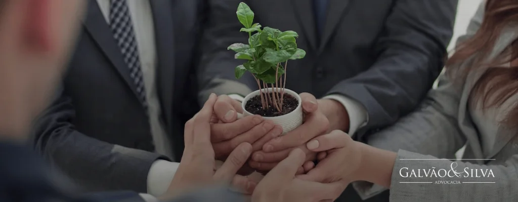 Melhor Escritorio De Advocacia Do Brasil Em Direito Ambiental