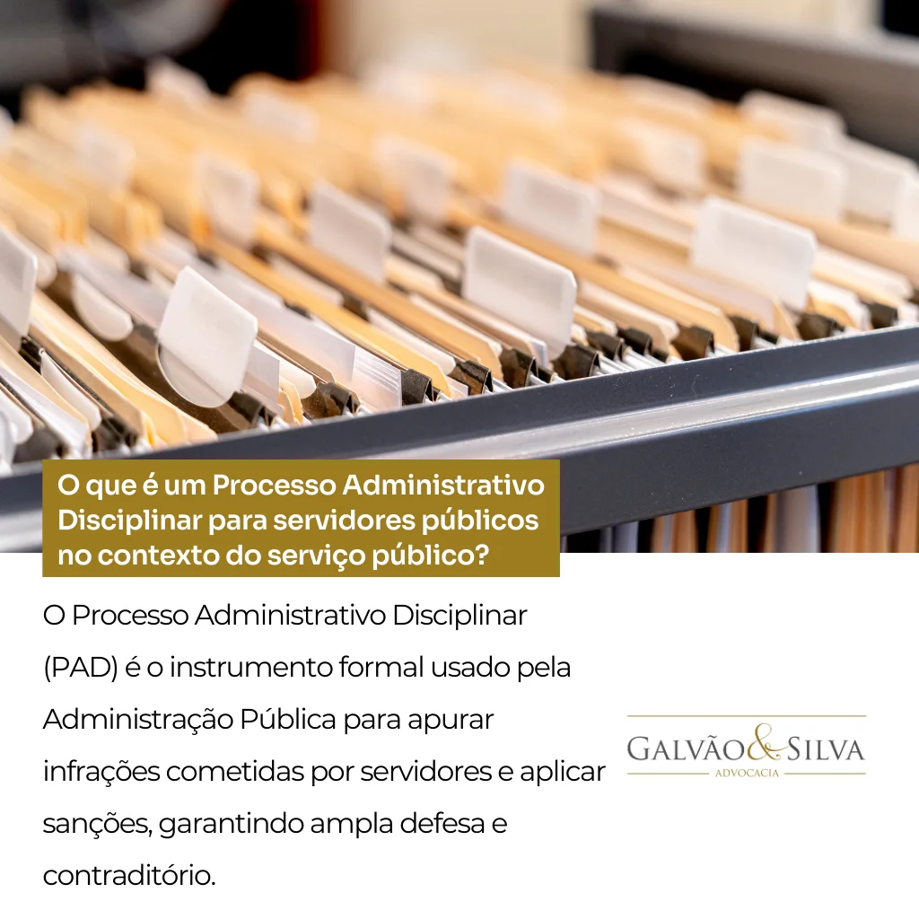 O que é um Processo Administrativo Disciplinar para servidores públicos no contexto do serviço público