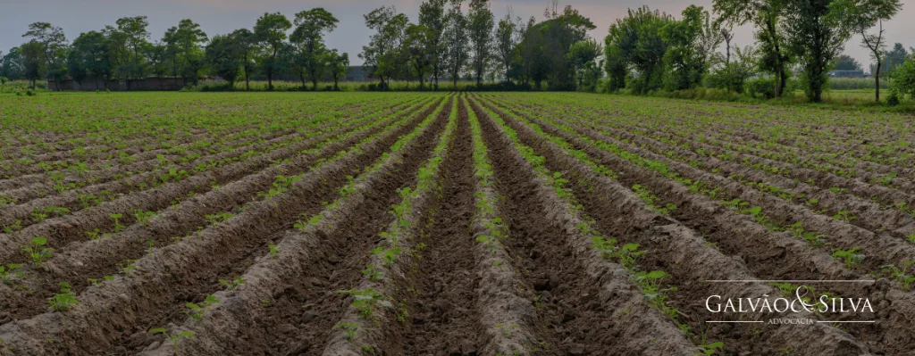 Regulamentacao Dos Agrotoxicos