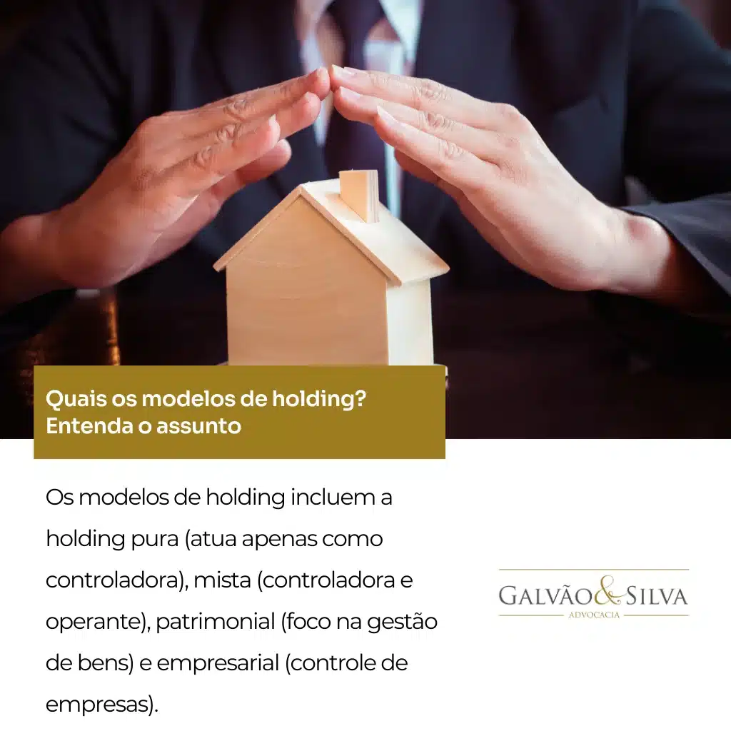 Quais os modelos de holding
