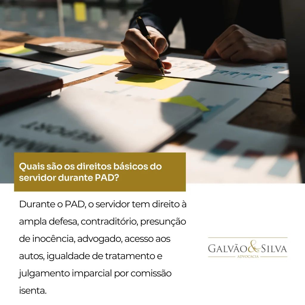 Quais são os direitos básicos do servidor durante PAD