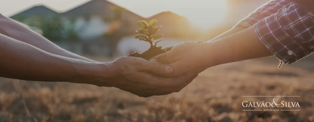 Licenca Ambiental Em Dia