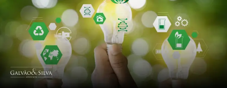 Princípios do Direito Ambiental: O Que É e Quais São