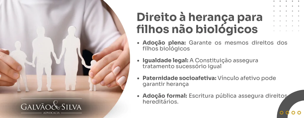 Direito à herança para filhos não biológicos