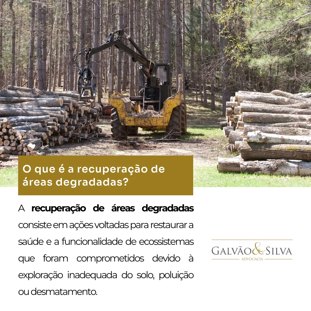 O que é a recuperação de áreas degradadas