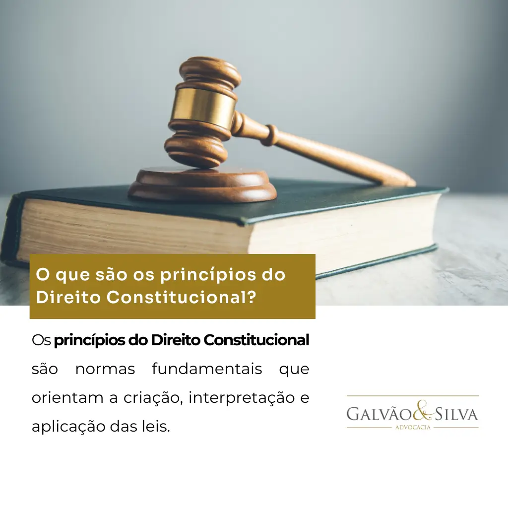 O que são os princípios do Direito Constitucional