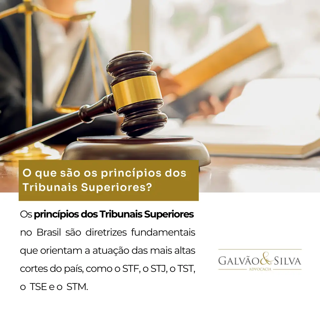 O que são os princípios dos Tribunais Superiores