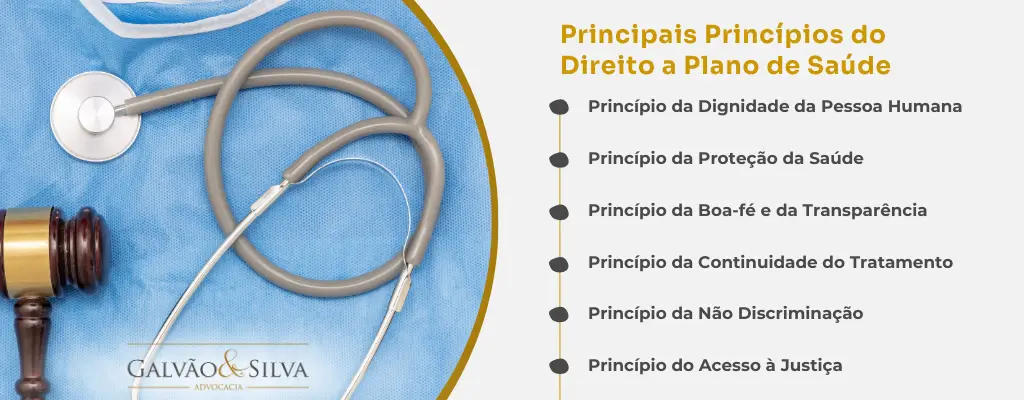Principais Princípios do direito a plano de saúde