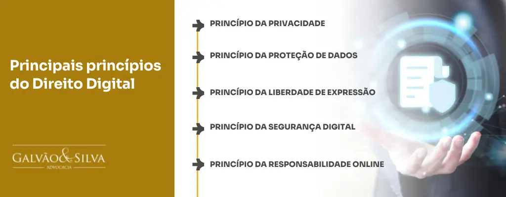 Principais princípios do Direito Digital