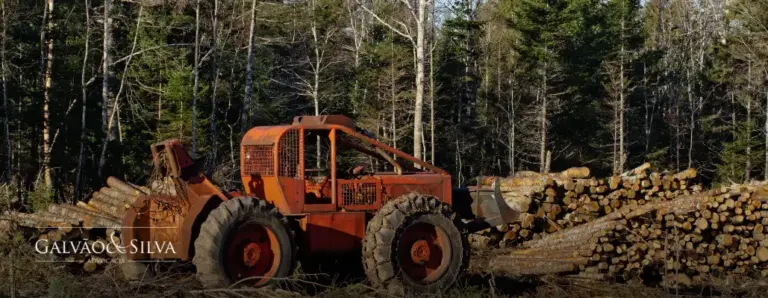 Recuperação de Áreas Degradadas: Entenda as Obrigações Legais e Benefícios