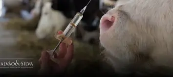 Campanhas Sanitárias Obrigatórias: Como Atender às Exigências Legais na Vacinação