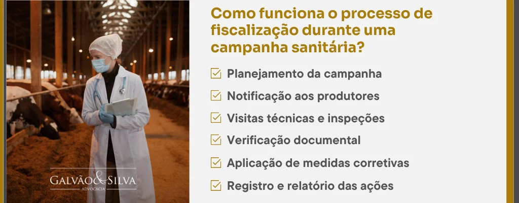 Como funciona o processo de fiscalização durante uma campanha sanitária