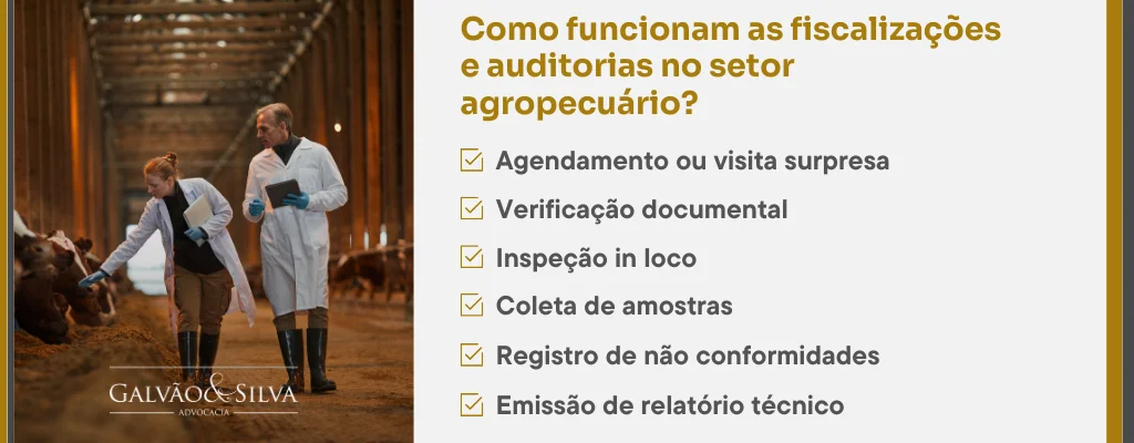 Como funcionam as fiscalizações e auditorias no setor agropecuário