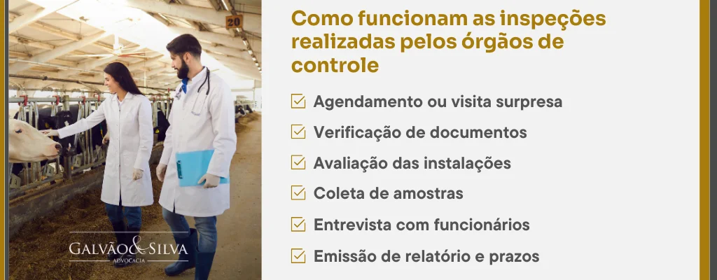 Como funcionam as inspeções realizadas pelos órgãos de controle