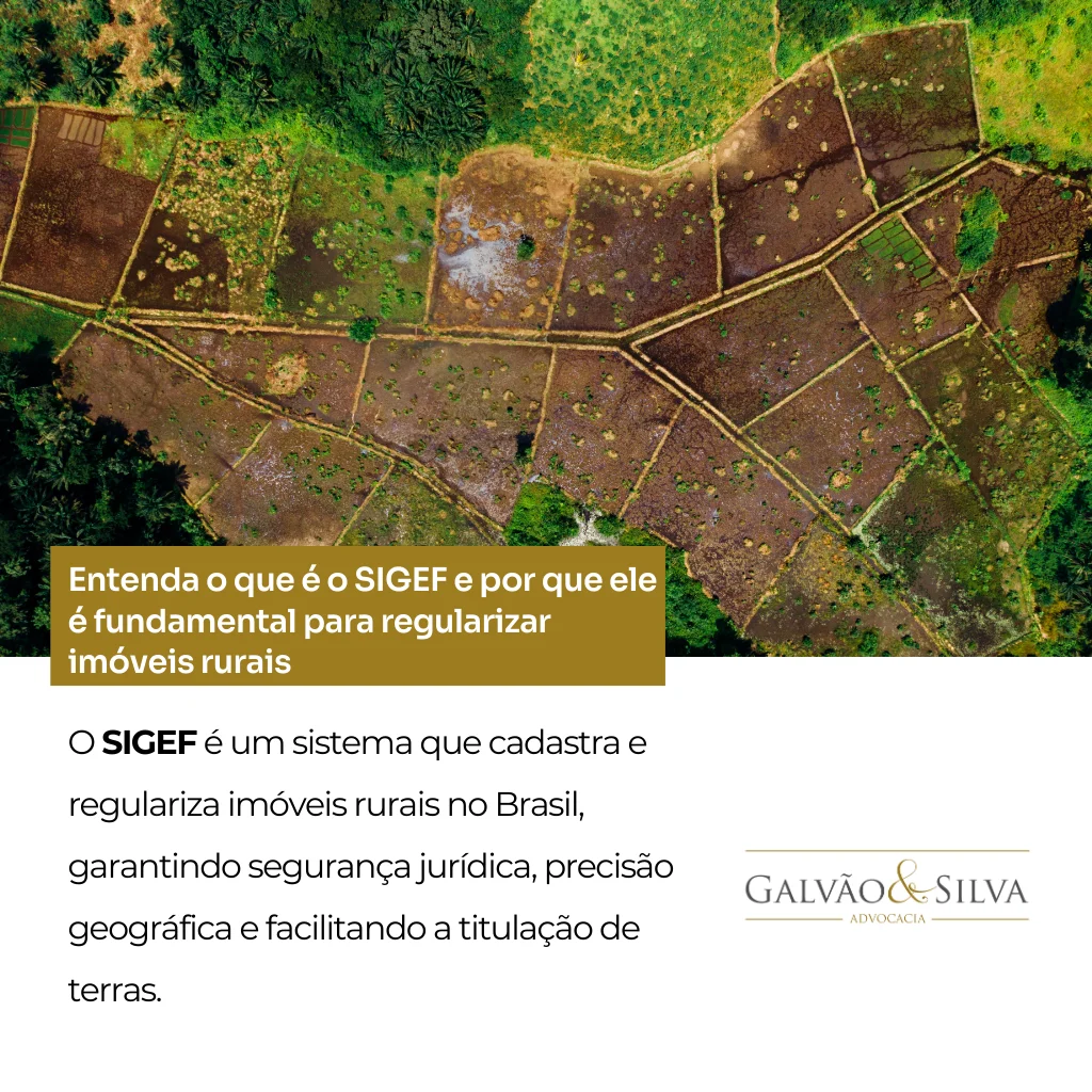 Entenda o que é o SIGEF e por que ele é fundamental para regularizar imóveis rurais