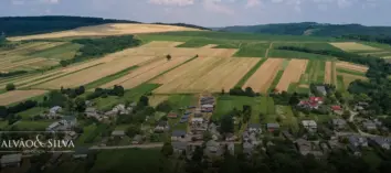 O Papel do Advogado na Interpretação da SISLEGIS para Decisões Estratégicas no Campo