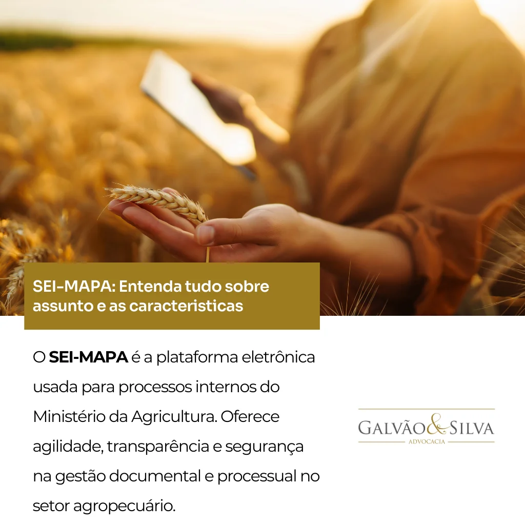 O que é SEI-MAPA