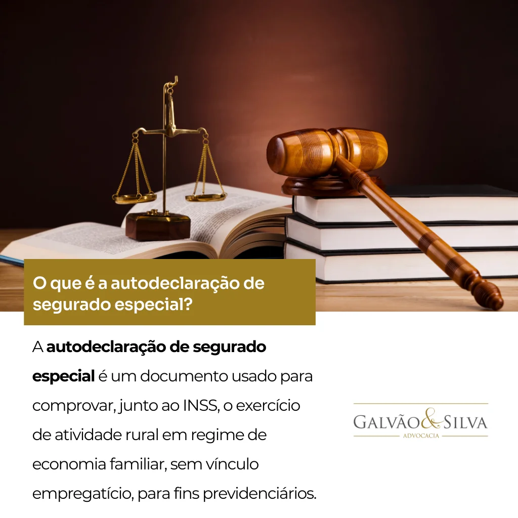 O que é a autodeclaração de segurado especial