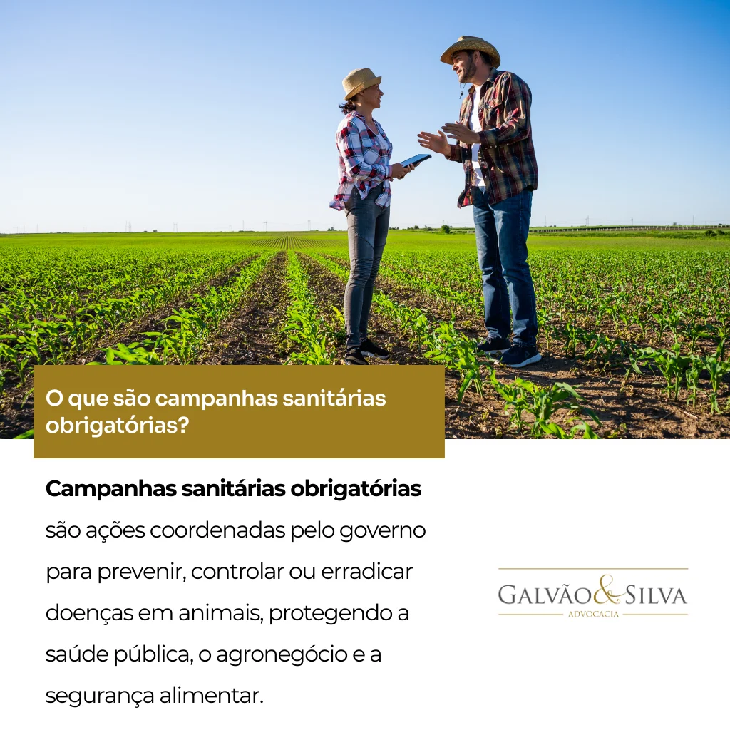 O que são campanhas sanitárias obrigatórias