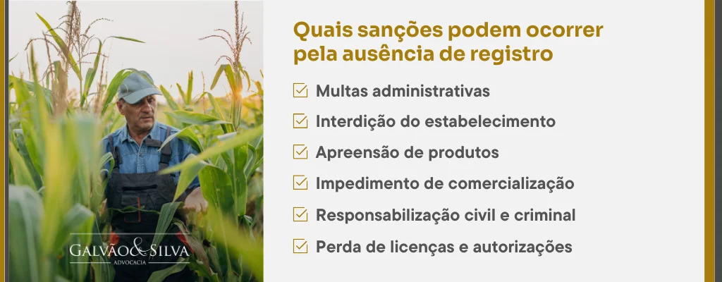Quais sanções podem ocorrer pela ausência de registro