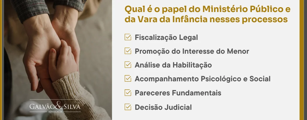 Qual é o papel do Ministério Público e da Vara da Infância nesses processos