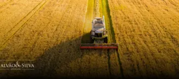 Sistema de Defesa Agropecuária: Como Regularizar sua Atividade no e-Sisbravet, SIGVIG e e-SISVET