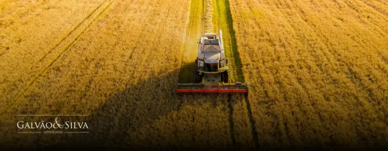 Sistema de Defesa Agropecuária: Como Regularizar sua Atividade no e-Sisbravet, SIGVIG e e-SISVET