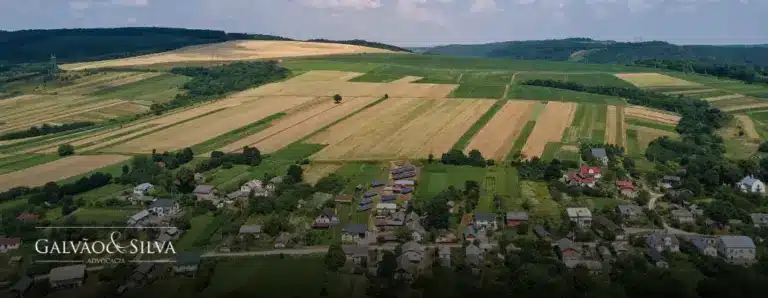 O Papel do Advogado na Interpretação da SISLEGIS para Decisões Estratégicas no Campo