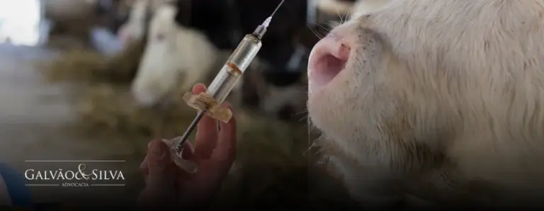 Campanhas Sanitárias Obrigatórias: Como Atender às Exigências Legais na Vacinação