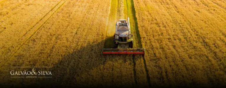 Sistema de Defesa Agropecuária: Como Regularizar sua Atividade no e-Sisbravet, SIGVIG e e-SISVET