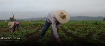 Como Garantir o Acesso Legal ao PRONAF: Requisitos Jurídicos para Agricultores Familiares
