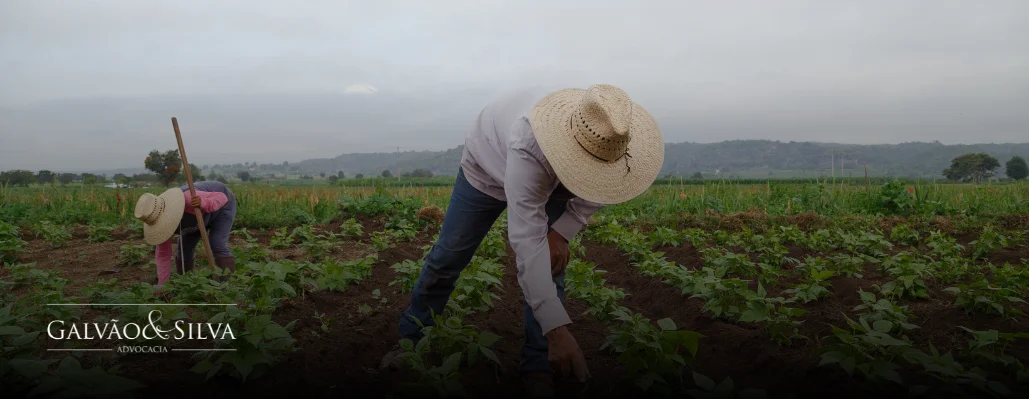 Como Garantir o Acesso Legal ao PRONAF Requisitos Jurídicos para Agricultores Familiares