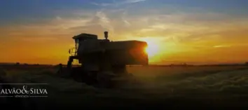 Escritório de Advocacia para Holding Rural
