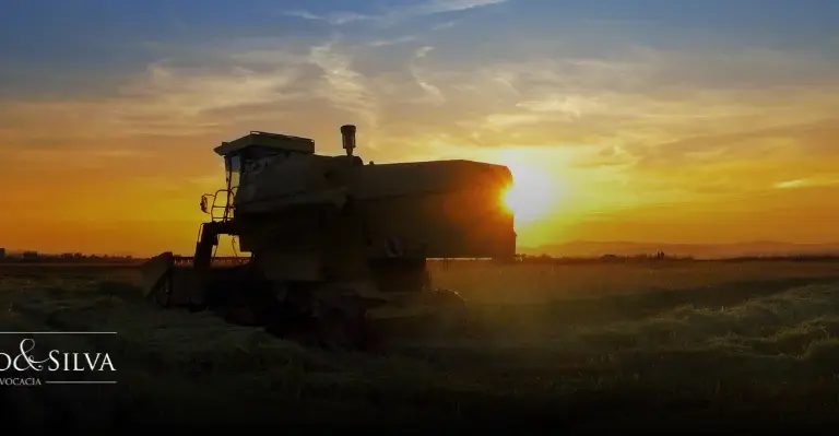 Escritório de Advocacia para Holding Rural